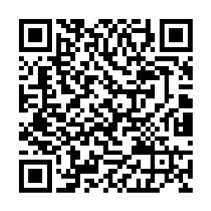 咱们八荒世界的强者就算联合起来都不够这些人杀的二维码生成