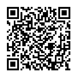 咱们大宋人弄来土地之后立刻会烧掉草原种地的二维码生成