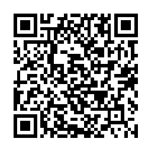 咱们学校的食堂食材供应商我看就承包给方寸公司吧二维码生成