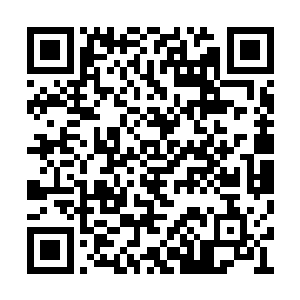 咱们将这些药草和炼器材料多多收集一些在手中二维码生成