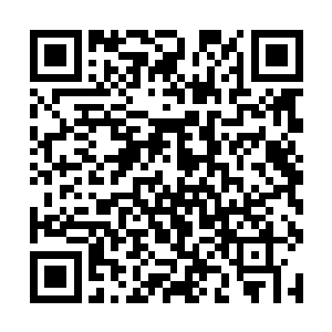 咱们就悄悄地搞个针孔摄像机把他们的丑态也拍下来二维码生成