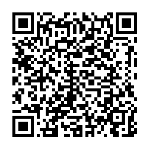 咱们府上也实在有些…媳妇想着是不是等定王府将聘礼送来了再看二维码生成