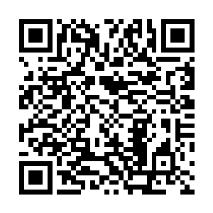 咱们御王殿下特地请了这个戏班子入府来给这喜宴助助兴二维码生成