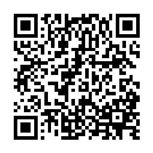 咱们心里就有底气了――他知道东上人是很看护弟子的二维码生成