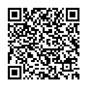 咱们必须要对如今的四大势力有一个更深的了解二维码生成