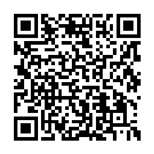 咱们把天下第一汤交到那帮王八羔子手上的时候二维码生成