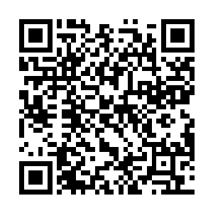 咱们现在是不是应该先找个比较偏僻的地方安顿下来啊二维码生成