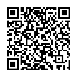 咱们要将那两份龙之血脉也弄到手还需要一点时间呢二维码生成