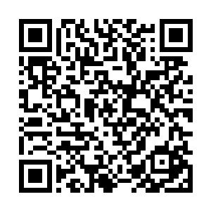 咱们这么做就等于是在公开的挑战十大ss级佣兵千淫啊二维码生成