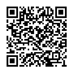 咱们这几个人里面终于出了一个灵寂期的强者了二维码生成