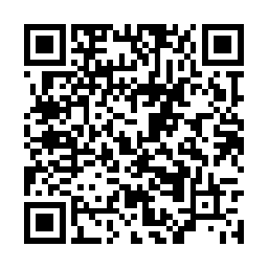 咱们这边好像也没有人愿意去招惹老佩顿这个家伙二维码生成