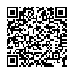 咱们这里地震之后经常有什么领导下来视察工作二维码生成