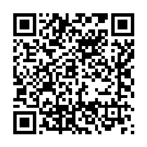 咱们非要去争夺那些早就被人争夺过十万八千次的东西二维码生成