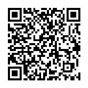 咱家可是亲耳听见你的那个和尚朋友请求陛下早点杀掉你二维码生成