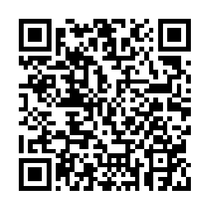 哇哇叫喊着气势汹汹从小路攀爬上来的彘族战士二维码生成