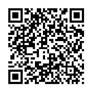 哇紫烟师妹你太厉害了你竟然锻造出来了五品钢精二维码生成