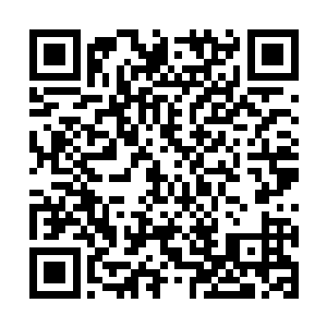 哇~~这个茶壶和茶杯竟然是紫晶炼制的上品先天仙宝二维码生成