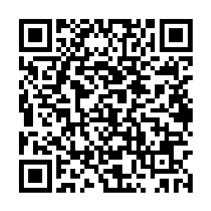 哈利维尔还向张东城晃了晃阿达曼刚才带来的报纸二维码生成