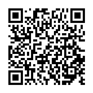 哈吉吃惊地看着荣光――这惊人的爆发力刚刚捅走了足球二维码生成