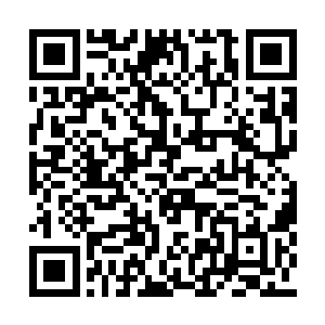 哈哈……如果你跟那个虎子都被我一举击杀的话二维码生成