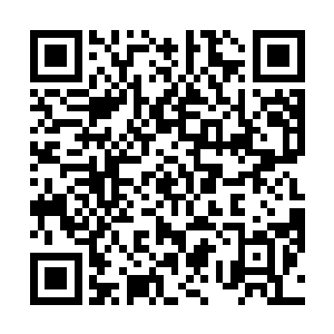 哈哈……笑死我了……胖爷我一个屁竟然有这么厉害啊二维码生成