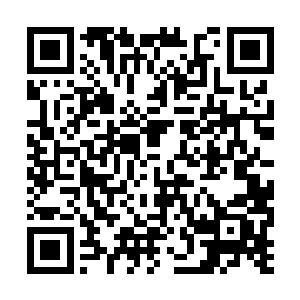 哈哈哈……原来天不怕地不怕的疯丫头也有软肋啊二维码生成