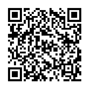 哈哈哈……天机传承不是任何乌合之众就能进入的二维码生成