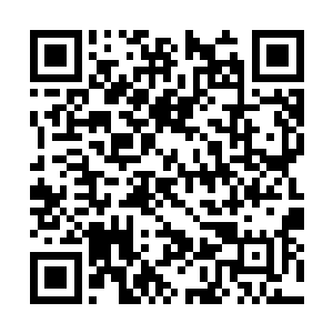 哈哈哈哈……只是想不到你会看上渠家的那个小子二维码生成