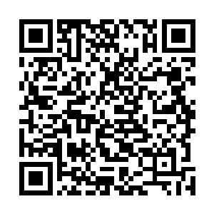 哈哈哈哈哈――这句话可是我这辈子听过最好笑的笑话了二维码生成