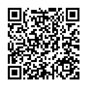哈哈看着这个弟弟一脸疑惑的表情就知道对方肯定不认识星了二维码生成