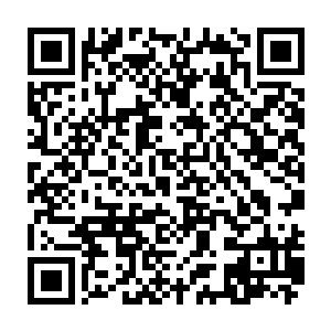哈大笑的将德国政府贷给奉天将军府的一亿八千万德国马克全部存入了奉天银行二维码生成
