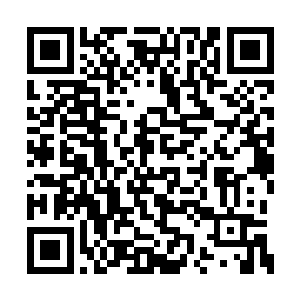 哈姆向露露口耳相传了自己的真名和认主的咒语二维码生成