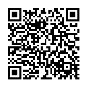 哈布斯才不觉得会存在让人轻松越过亲王之上瓶颈的秘法二维码生成