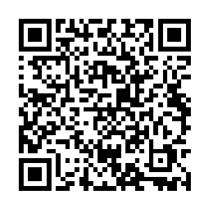 哈德森把所有力量都用在了王铮身上却没起到效果二维码生成