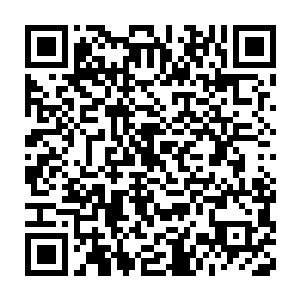 哈斯乌拉当然不会蠢得和肉身硬功练到宗师层次的家伙一刀换一刀二维码生成