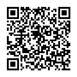 哈特曼先生在的时候是绝对不会问这样的问题的二维码生成