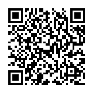 哈辛和阿巴娇正庆幸在他的出手下将子蛊寻了回来二维码生成