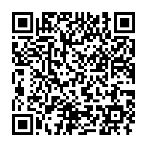 哎哎我是说邵表哥为了不让嘉嘉闹事去哄着她讨好她也真是辛苦了二维码生成