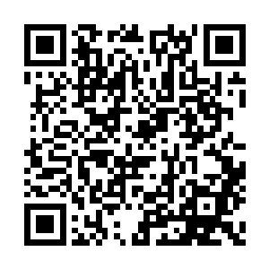 哥哥为了此战可是准备了一千三百余种特殊生物二维码生成