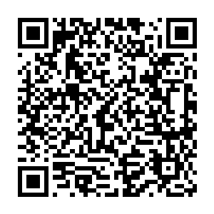 哥哥都不理我……呜呜……不陪我玩……晚上都是宝宝一个人睡……二维码生成