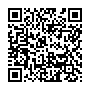 哥就是希望能看到你嫁一个自己――情投意合的人二维码生成