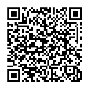哧哧……符魔兽车下来的几个侍卫顿时被粗大的藤蔓给袭的脑袋暴碎而亡二维码生成