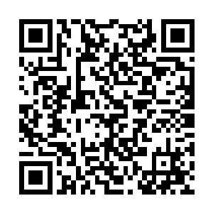 哨兵机甲……雷暴战车……光束和导弹在空中横飞二维码生成