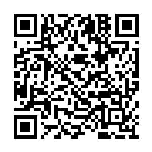 哪一个九转境剑者敢这么明目张胆的出现在外面二维码生成