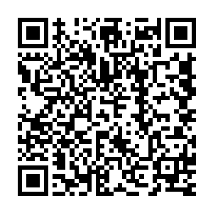 哪一个宗门也不会让化神期的修士长时间在无法预测的环境里历练的二维码生成