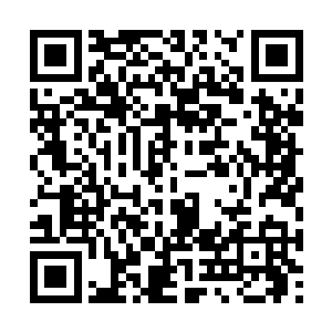 哪个不是当天便闯过试练塔三十层而且一次不死的二维码生成