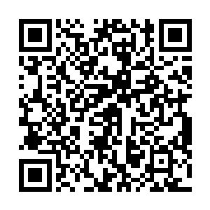 哪个在生崽的时候会有这种无力的症状来着・・・・・・二维码生成