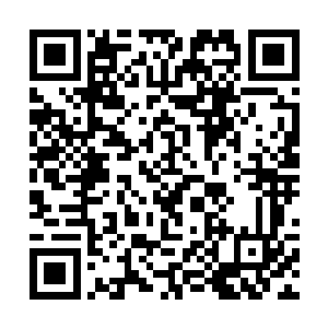 哪个愿意听自己门下最精英的后辈弟子全军覆没的话二维码生成