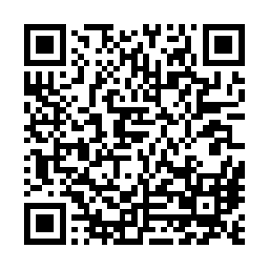 哪个敢在这种事关国家春秋大计的考试中发挥主观能动性啊二维码生成
