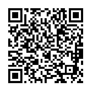 哪会给敌人进入自己体系污染的机会……农夫与蛇的教训二维码生成